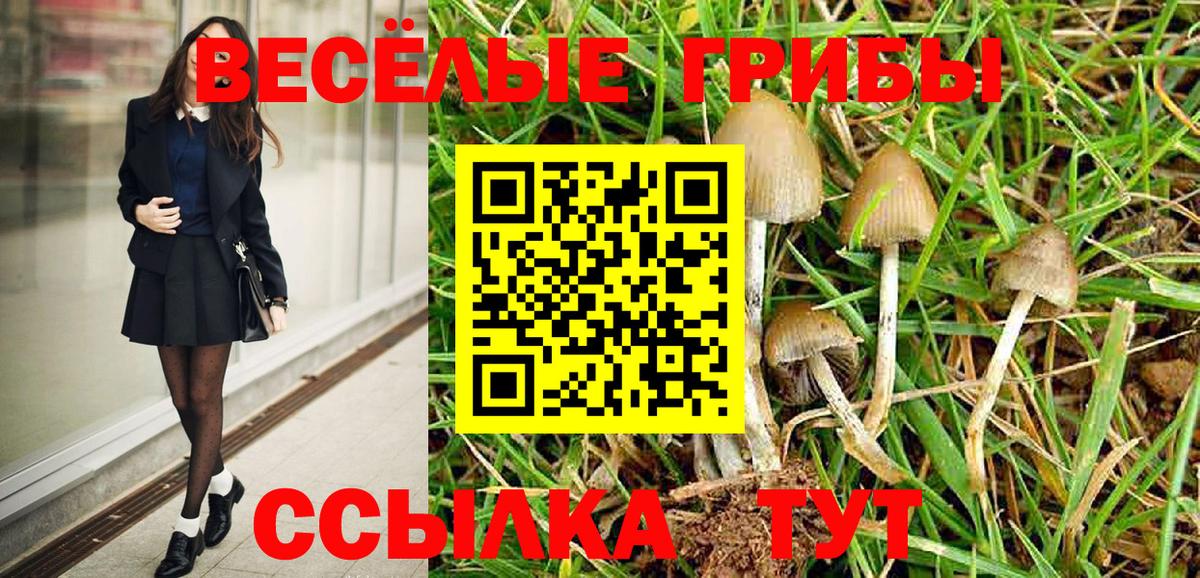 Галлюциногенные грибы Cubensis Полевской